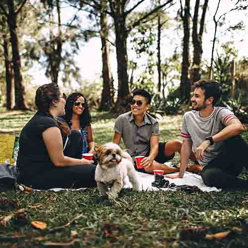 The Greatest Benefits of Hemp Oil for Dogs