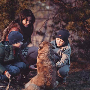 Why Homeopathic Flea Treatment for Dogs is Best