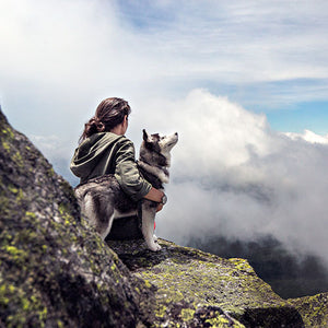 Treatment for Dog Seizures: <br>Hemp Oil & Natural Remedies